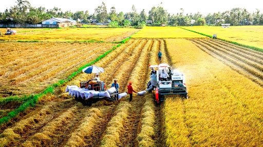 0514 industry and trade rice exporter