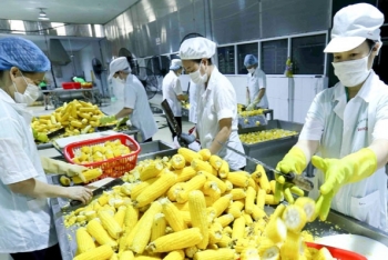 ministry of agriculture retains export target over usd 41 billion in 2020