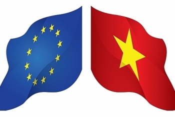 vietnam issued circular on certificate of origin in evfta