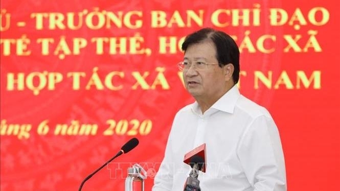 0351 deputy pm cooperatives