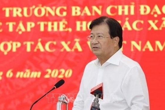 Deputy PM asks for measures to boost cooperatives' growth