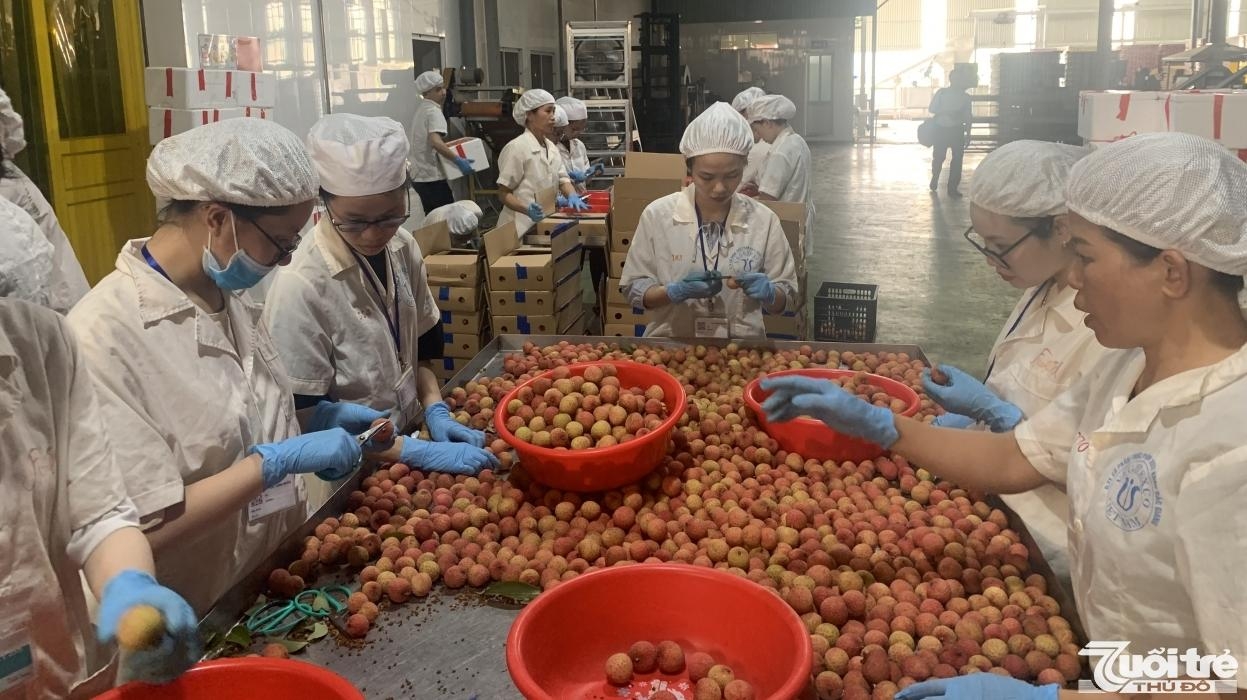 5344 vietnamese goods cptpp market