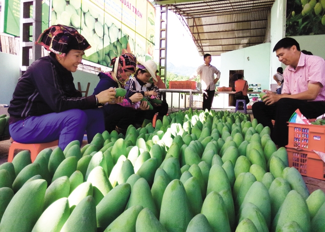 vietnamese goods stay attractive to cptpp market