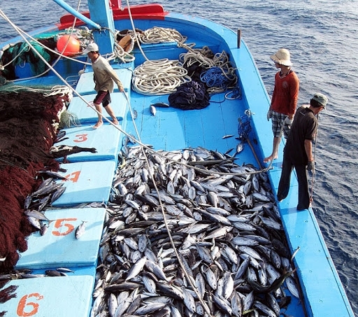 2727 eu yellow card illegal fishing