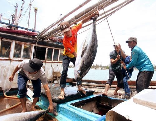 3027 eu illegal fishing