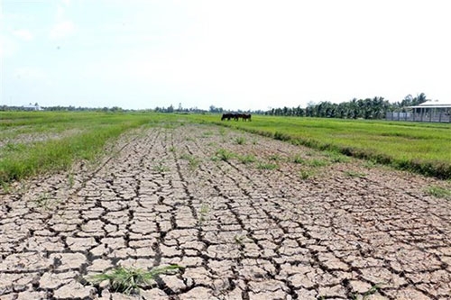 5642 finland mekong delta climate change