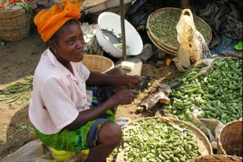 africa remains a potential market for vietnam despite covid 19