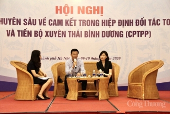 conference on cptpp commitments held in hanoi