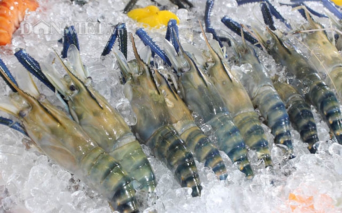5012 vietnam shrimp exports first half 2020