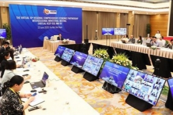 japanese scholar appreciated vietnams role in rcep talks