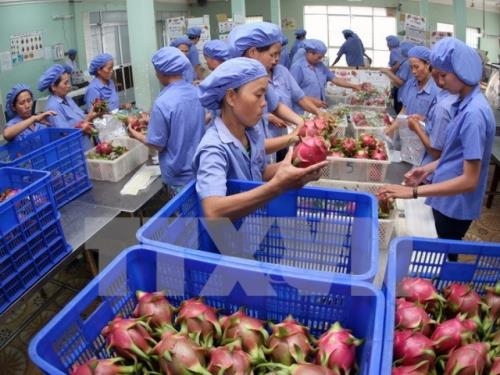 3956 agro fishery forestry export