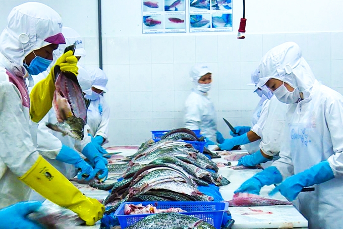 4529 vietnamagro fishery forestry