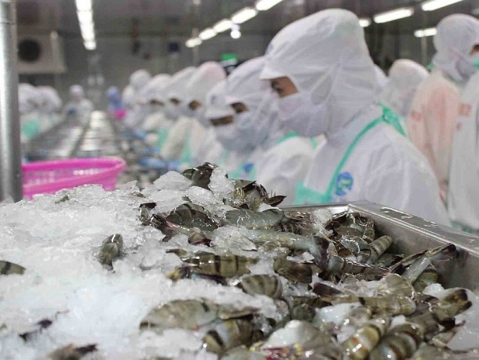 2951 export value vietnam