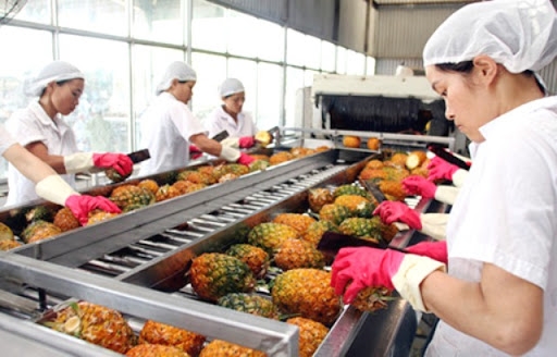 3916 vietnam export value