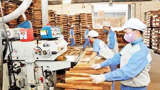 over 20000 export enterprises are ready for evfta opportunities