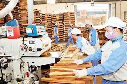 Over 20,000 export enterprises are ready for EVFTA opportunities