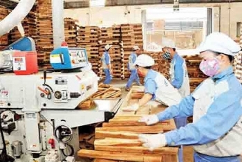 over 20000 export enterprises are ready for evfta opportunities