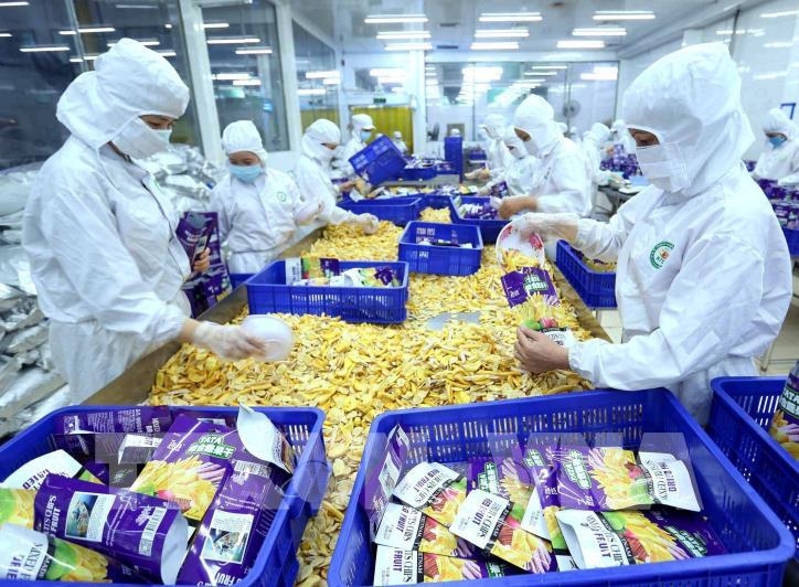 4447 agricultural exports