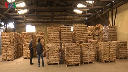 0951 wood exports