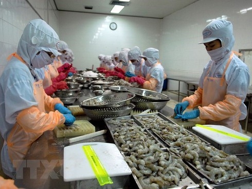 5029 shrimp export 2020