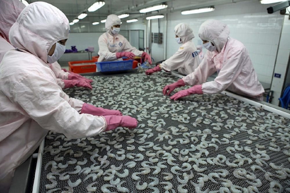 5120 vietnam shrimp export