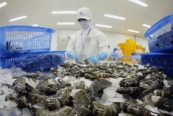 vietnamese shrimp export to the us up 29 in h1
