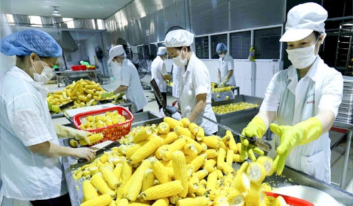 0742 export vietnam business 2020