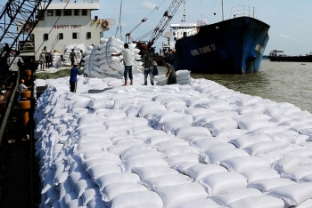 vietnamese rice prices ranked highest in the world