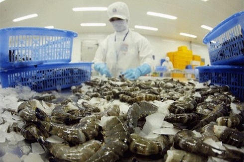 Korea raises the import of Vietnam's shrimps