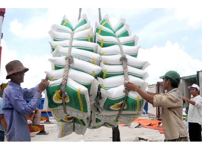 5947 vietnam rice 2020