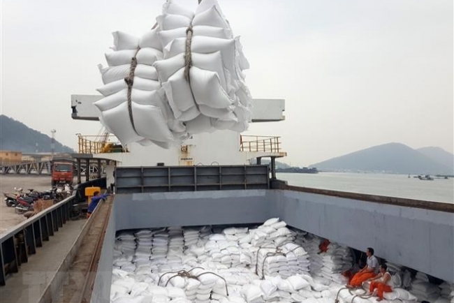 Vinaseed rice products conquer international markets