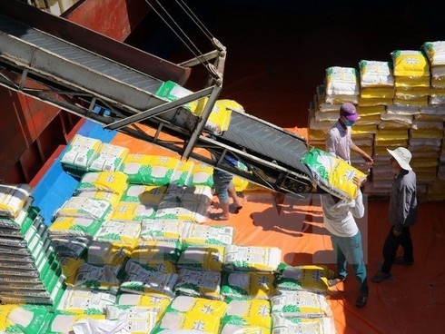 Vietnamese trade revenue estimated to exceed us$336.2 billion in 8 months