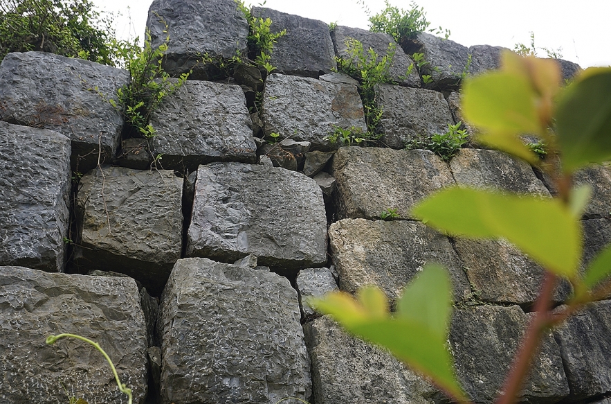 Ancient world heritage citadel of Vietnam damaged by natural disasters