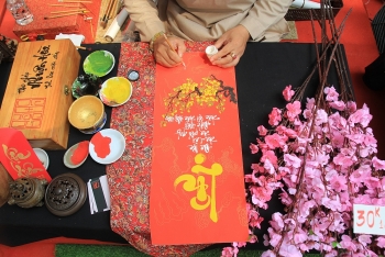 exploring unique lunar new year markets in ho chi minh city