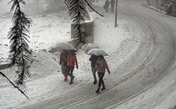 india daily weather forecast latest january 26 capital region braces for cold day conditions with dense fog