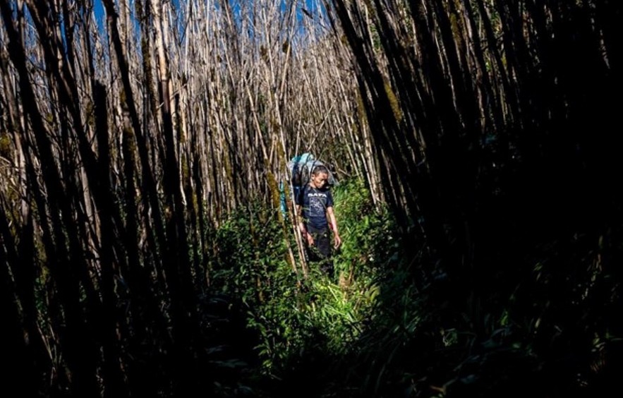 First Vietnamese Photographer Joins 2022 World Press Photo Contest Jury
