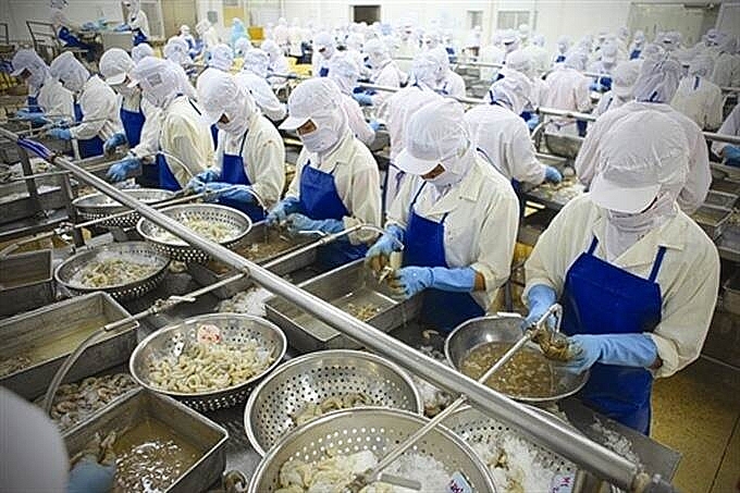 vietnam shrimp exports head to increase in may amid covid 19 pandemic