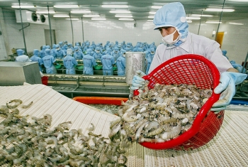 china increases crab purchase from vietnam in first four months 2020