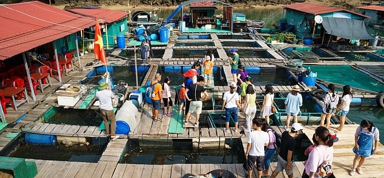 here are 10 things no one tell you about lan ha bay a masterpiece of nature