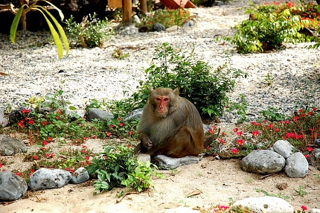 here are 10 things no one tell you about lan ha bay a masterpiece of nature