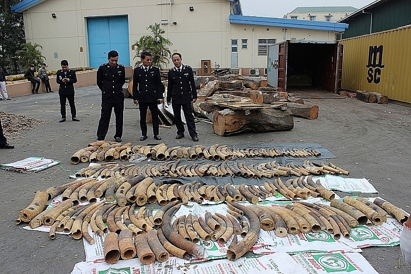 Strict customs inspections to impose on goods amid law violation of smugglers