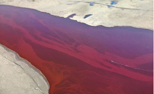 Russia launches major clean-up operation after huge arctic fuel spill incident