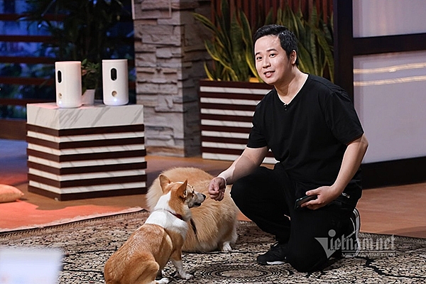 Vietnamese CEO initiates interactive pet cameras in the heart of America