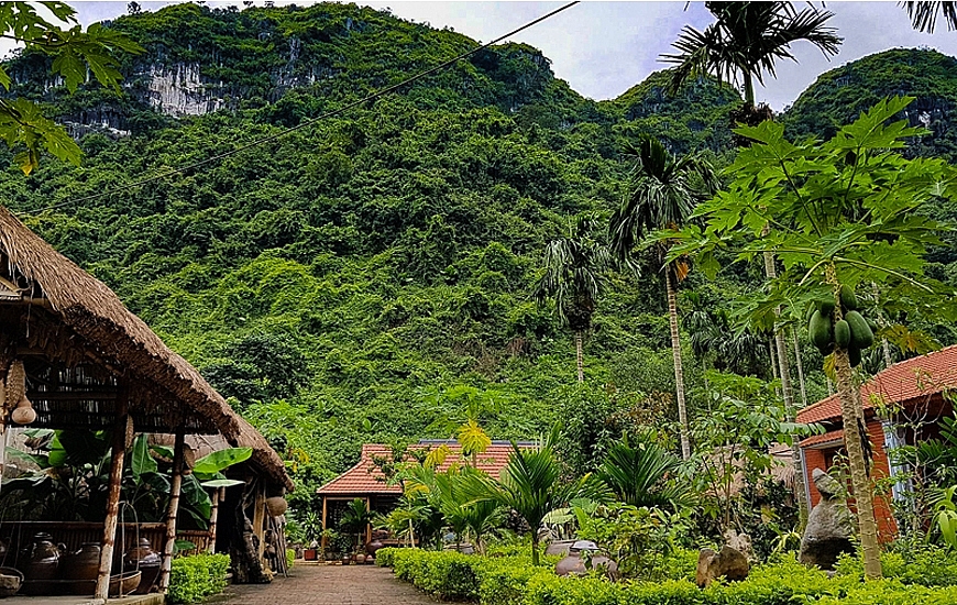 Discovering a wonderful day trip in Cat Ba National Park