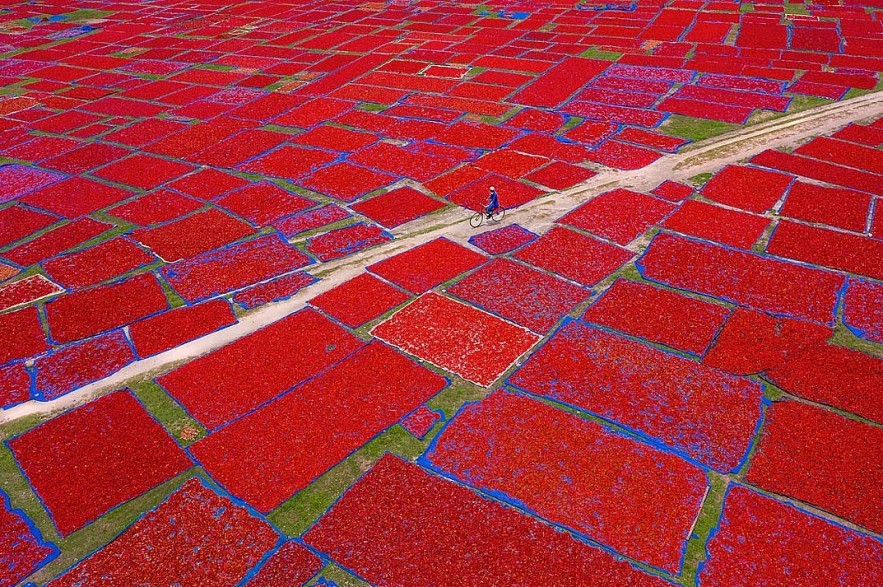 AAP Magazine #20 TRAVELS Winners: Vietnamese Photographer Receives Honorable Mentions