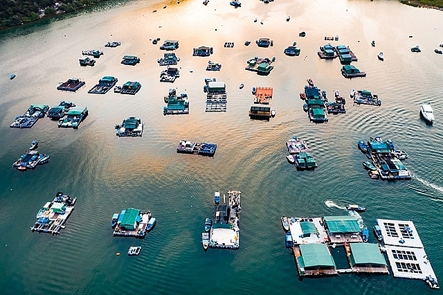 Vietnam to develop the marine economy and promote offshore exploitation