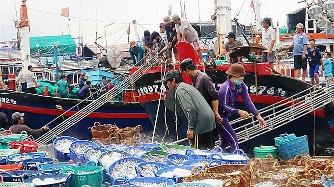 Vietnam to develop the marine economy and promote offshore exploitation