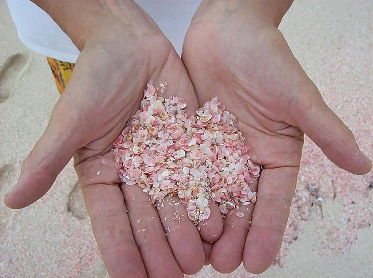 Exploring The Most Gorgeous Pink Sand Beach In The World