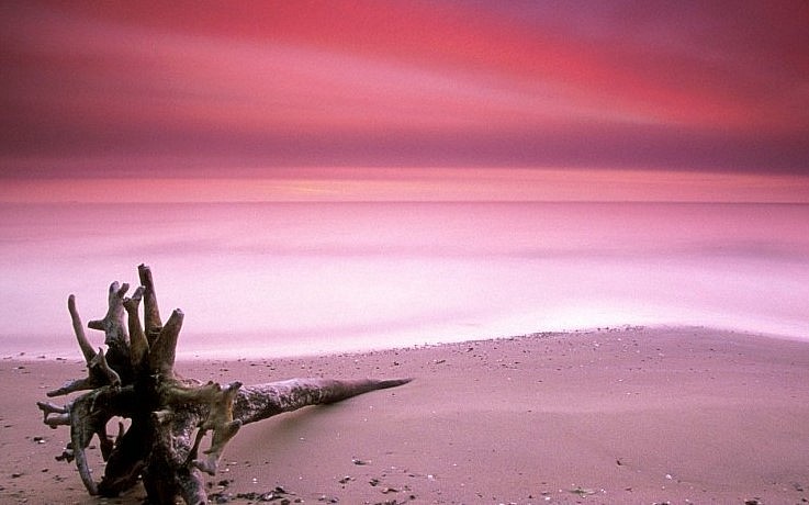 Exploring The Most Gorgeous Pink Sand Beach In The World