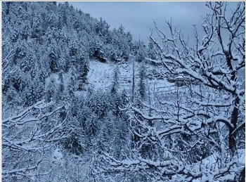 india weather forecast latest december 13 minimum temperature to fall again after a western disturbance
